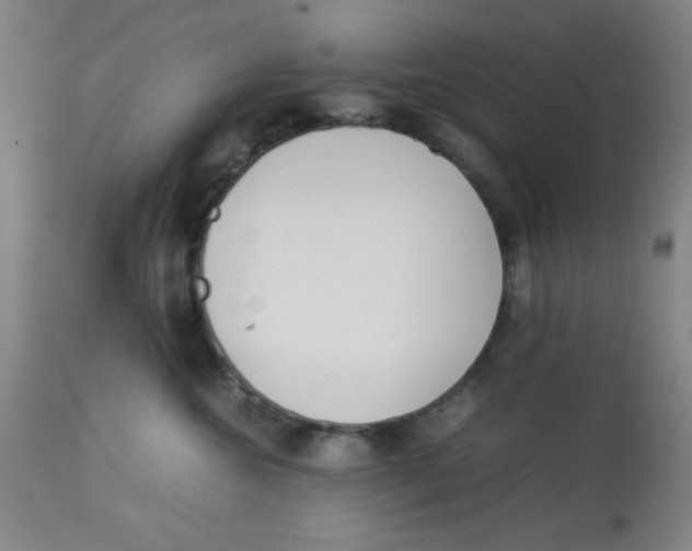 X0000112870572200909181827