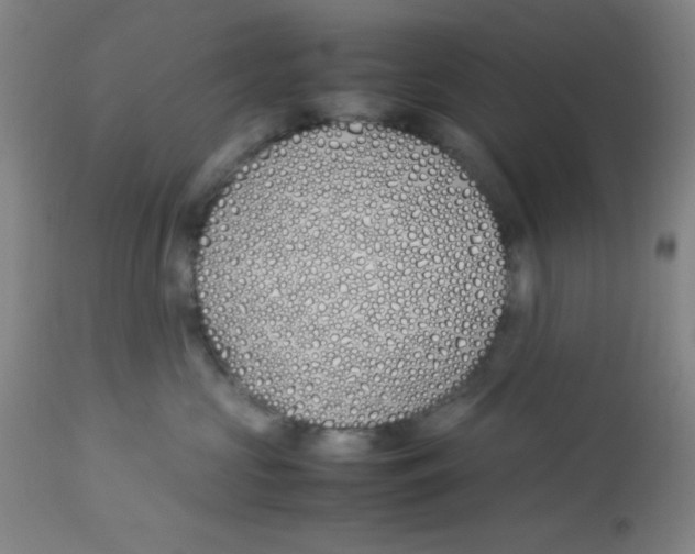 X0000112870573200909181827