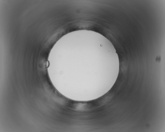 X0000112870575200909181827