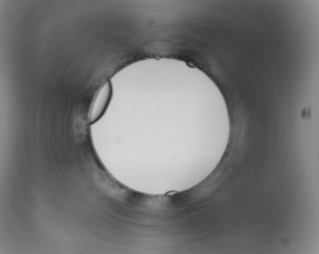 X0000112870576200909181827