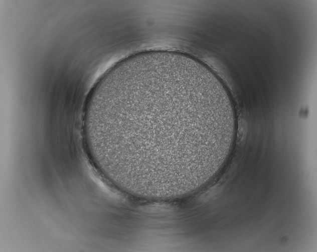 X0000112870578200909181826