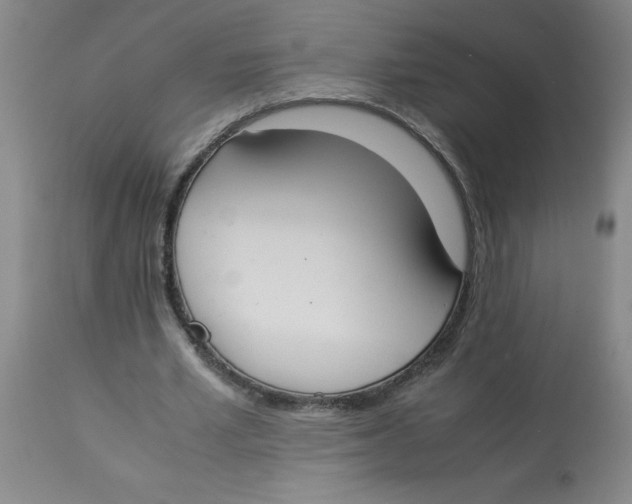 X0000112870581200909181826