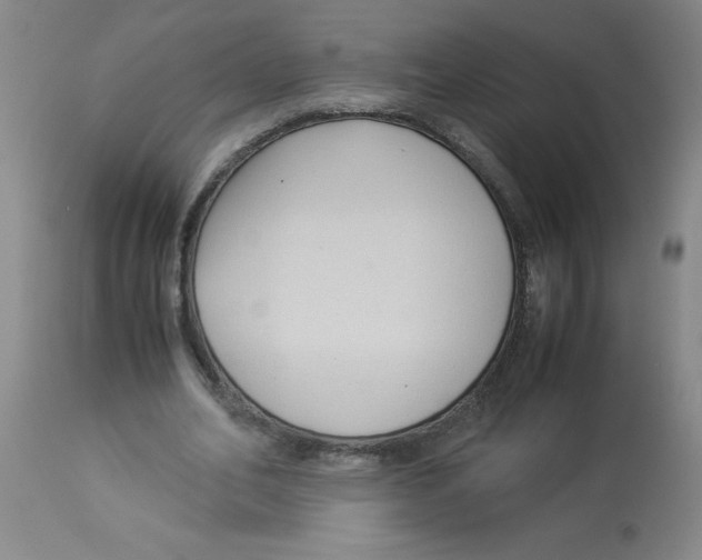 X0000112870582200909181826