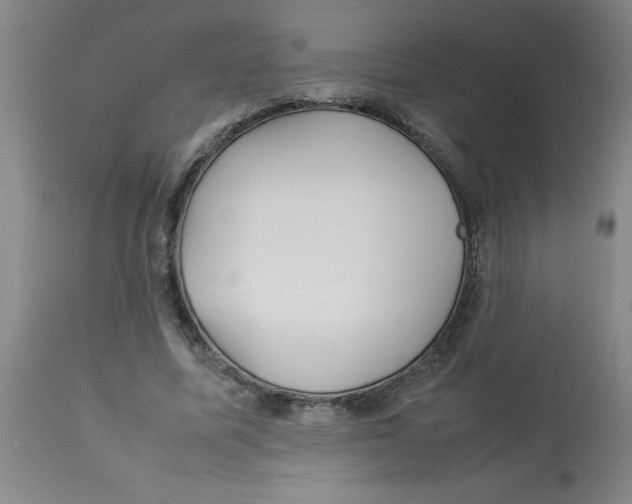 X0000112870587200909181826