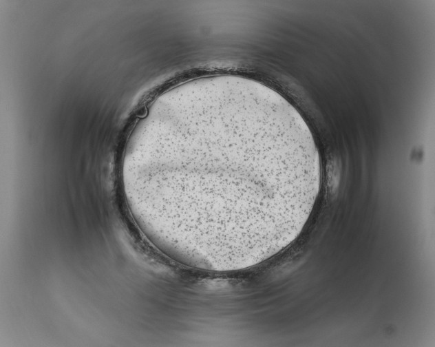 X0000112870588200909181826