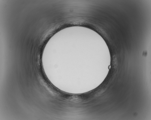 X0000112870589200909181826