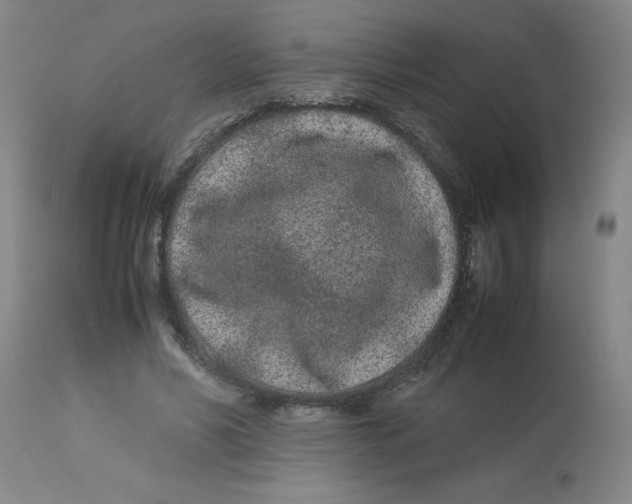 X0000112870590200909181826