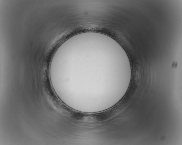 X0000112870591200909181826