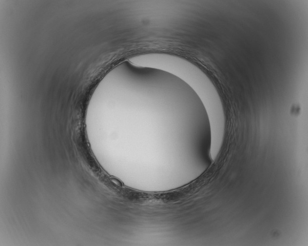 X0000112870593200909181826