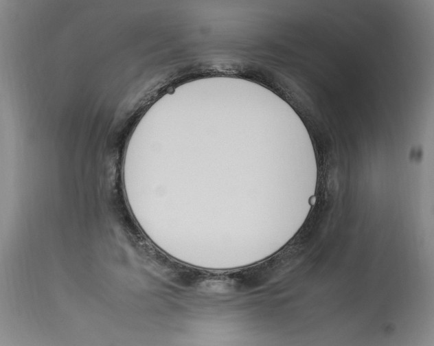 X0000112870595200909181826