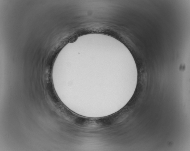 X0000112870597200909181826