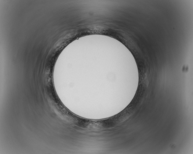 X0000112870599200909181826