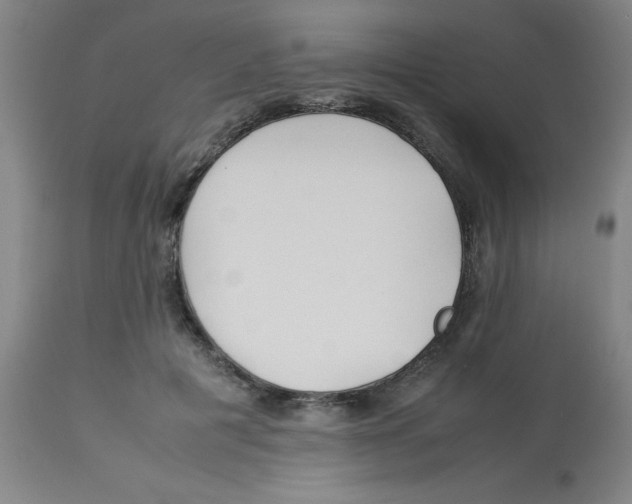 X0000112870601200909181826