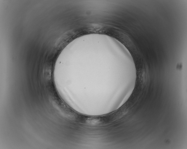 X0000112870602200909181826