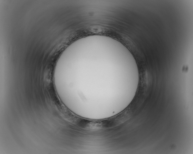 X0000112870606200909181826