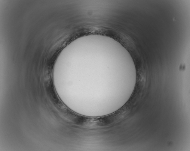 X0000112870607200909181826