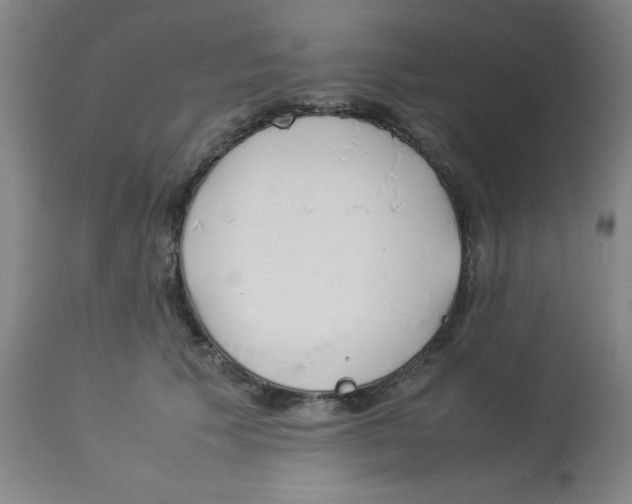 X0000112870609200909181826