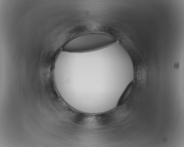 X0000112870611200909181826