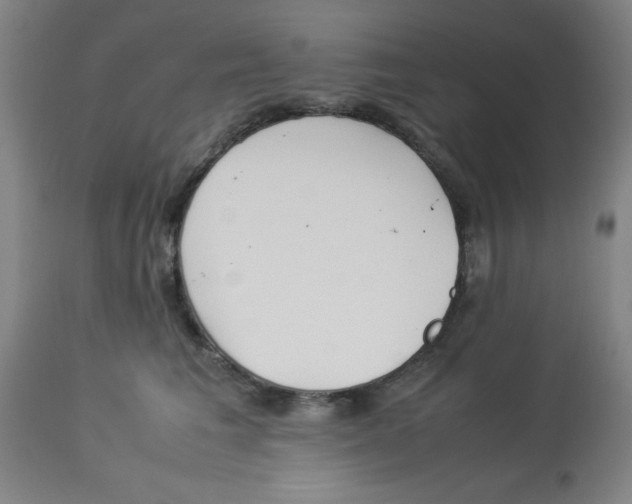 X0000112870613200909181826