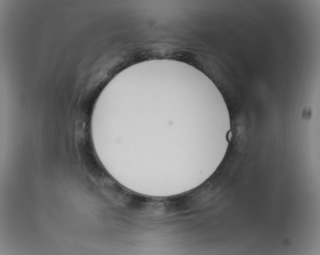 X0000112870615200909181826