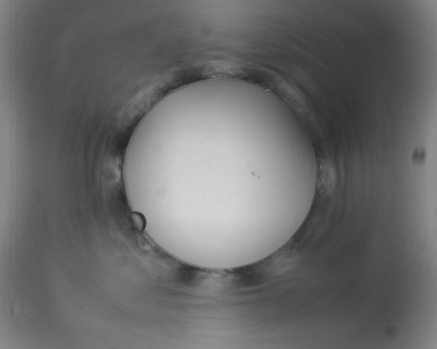 X0000112870621200909181825