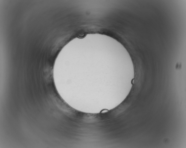 X0000112870624200909181825