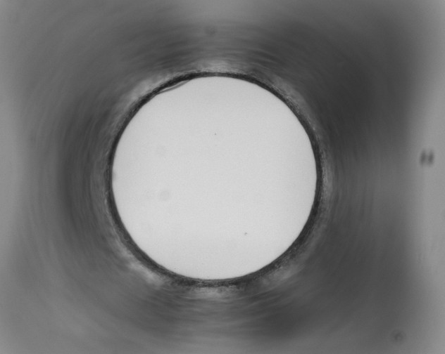 X0000112870625200909181825