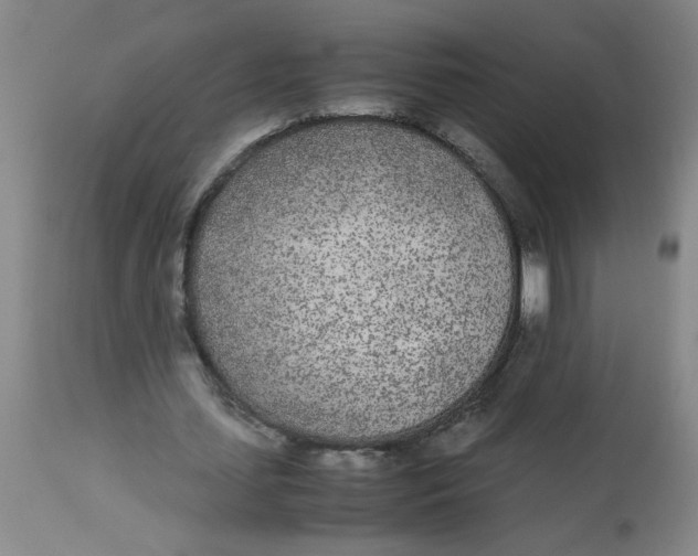 X0000112870627200909181825