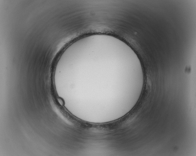 X0000112870630200909181825