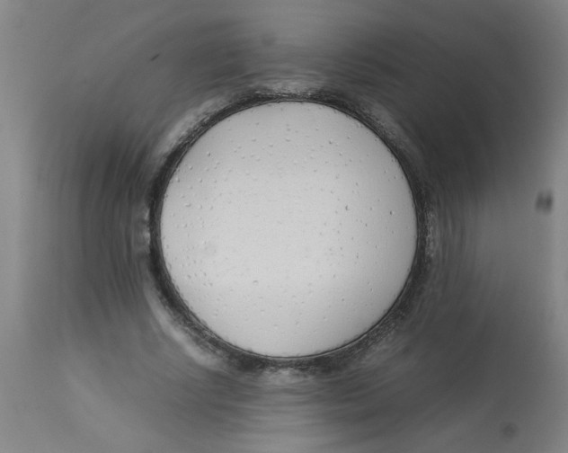 X0000112870634200909181825