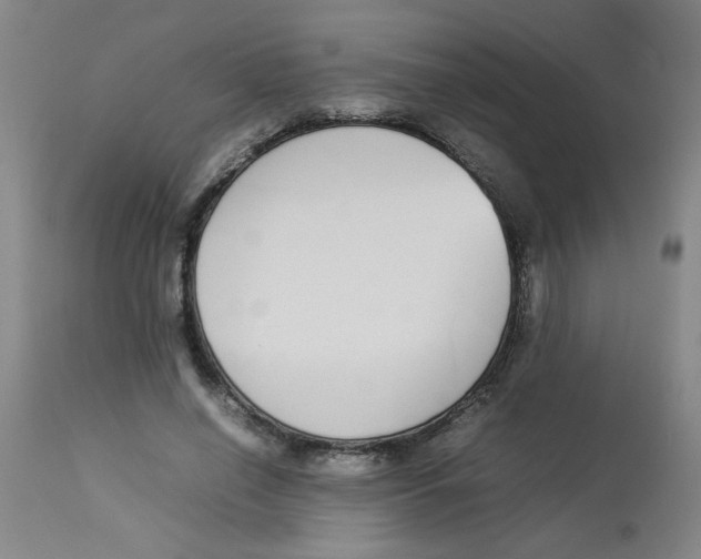 X0000112870638200909181825