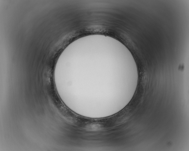 X0000112870643200909181825