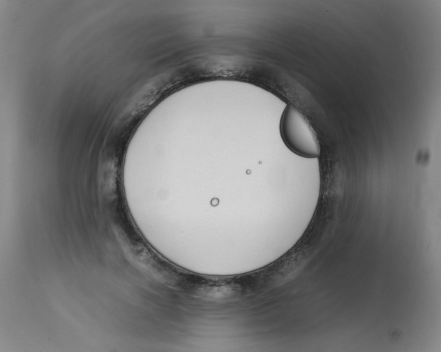 X0000112870646200909181825