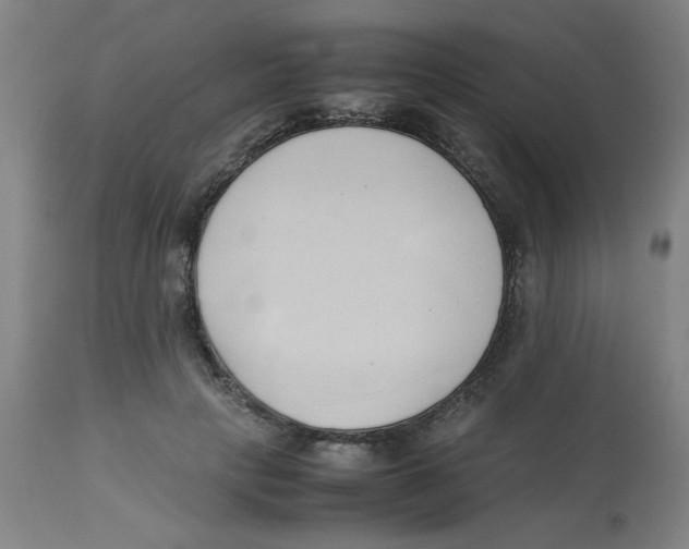 X0000112870649200909181825