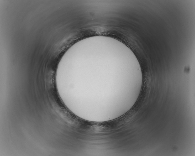 X0000112870650200909181825