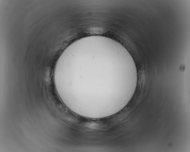 X0000112870655200909181825