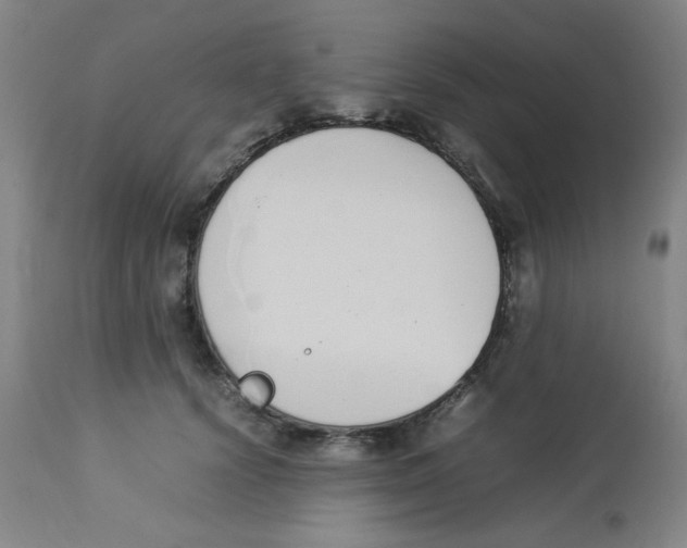 X0000112870656200909181825