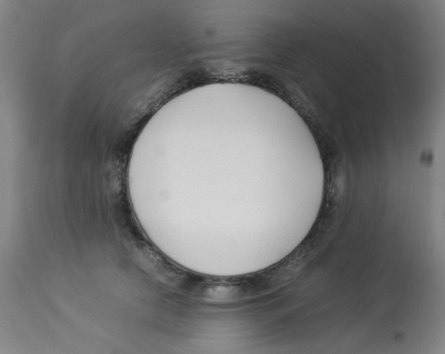 X0000112870658200909181825