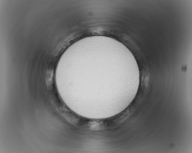 X0000112870660200909181825