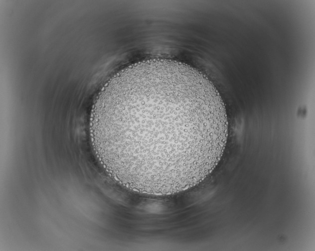 X0000112870663200909181825