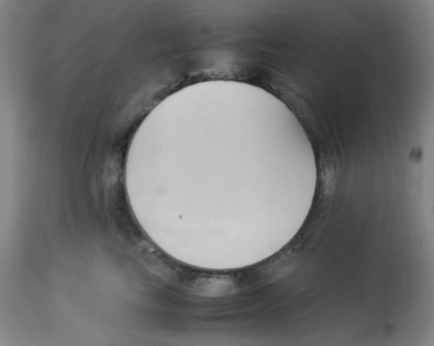 X0000112870665200909181825