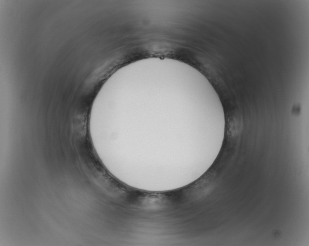 X0000112870666200909181825