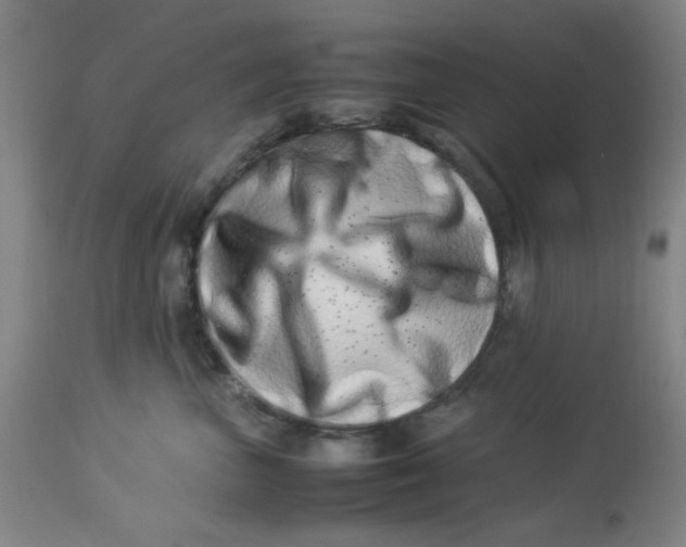 X0000112870667200909181825