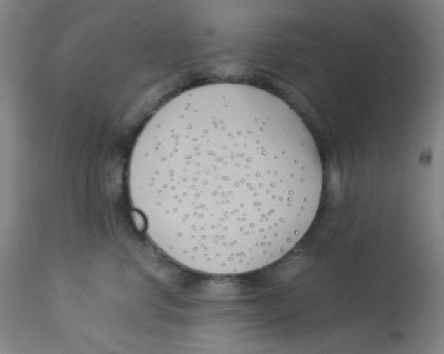 X0000112870668200909181825