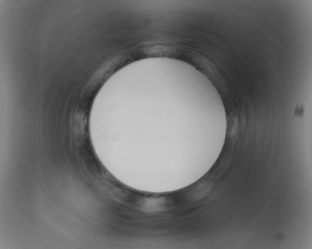 X0000112870669200909181825