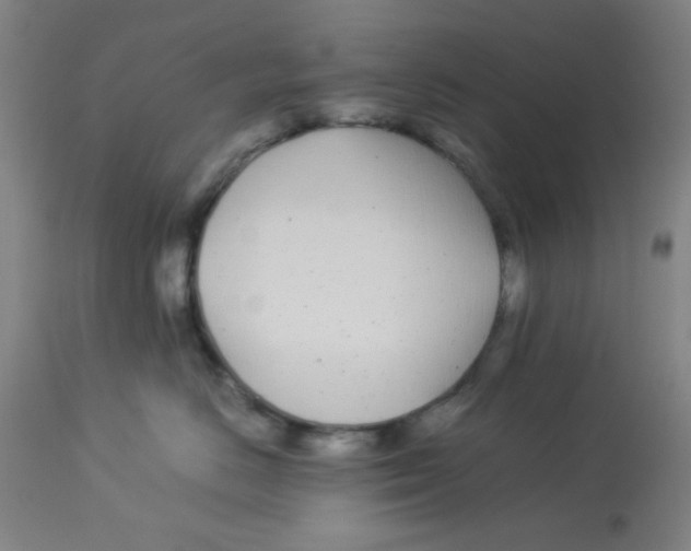 X0000112870670200909181825