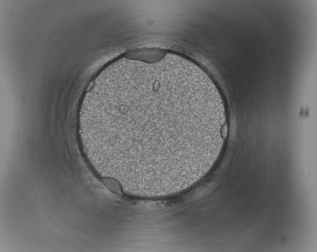 X0000112870673200909181825