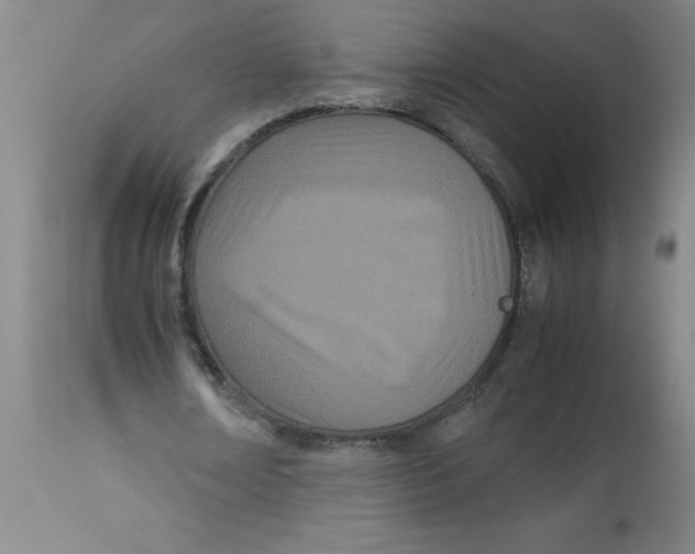 X0000112870674200909181825