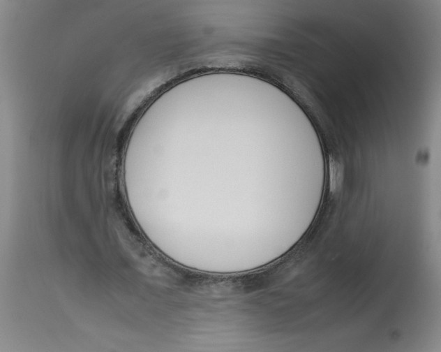 X0000112870675200909181825