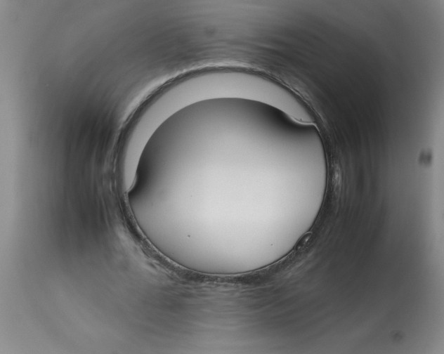 X0000112870676200909181825